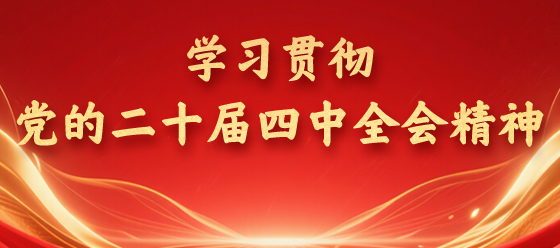 學習貫徹黨的二十屆四中全會精神