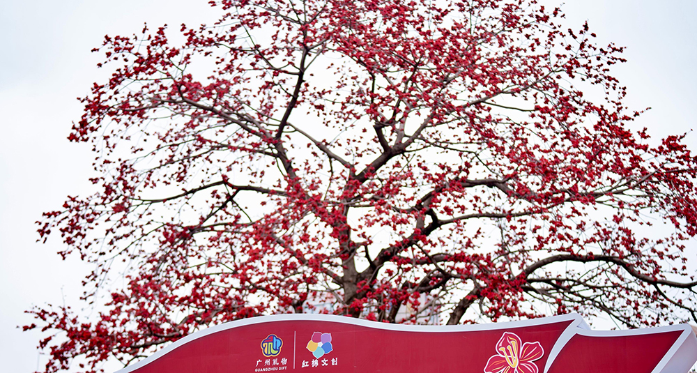 2026廣州“英雄花開(kāi)英雄城”系列活動(dòng)啟幕