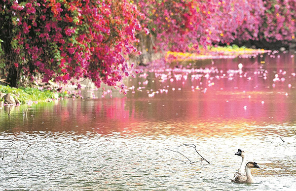 春暖花開(kāi)見(jiàn)廣州