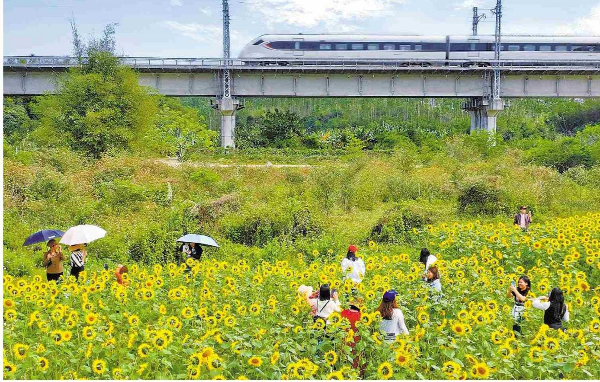 春風(fēng)春景踏春人